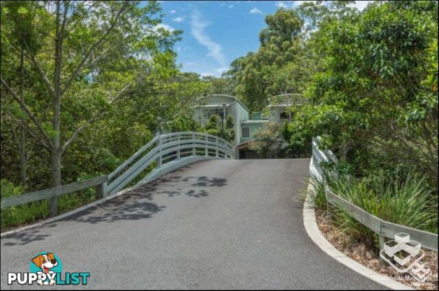 ID:21156202 35 Miawela Street Seven Hills QLD 4170