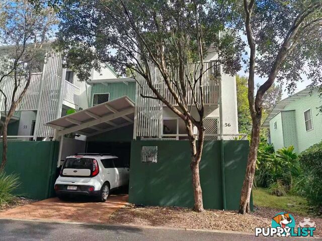 ID:21156202 35 Miawela Street Seven Hills QLD 4170