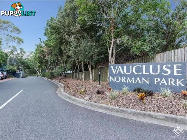 ID:21156202 35 Miawela Street Seven Hills QLD 4170