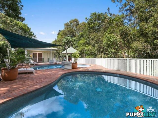 ID:21156202 35 Miawela Street Seven Hills QLD 4170