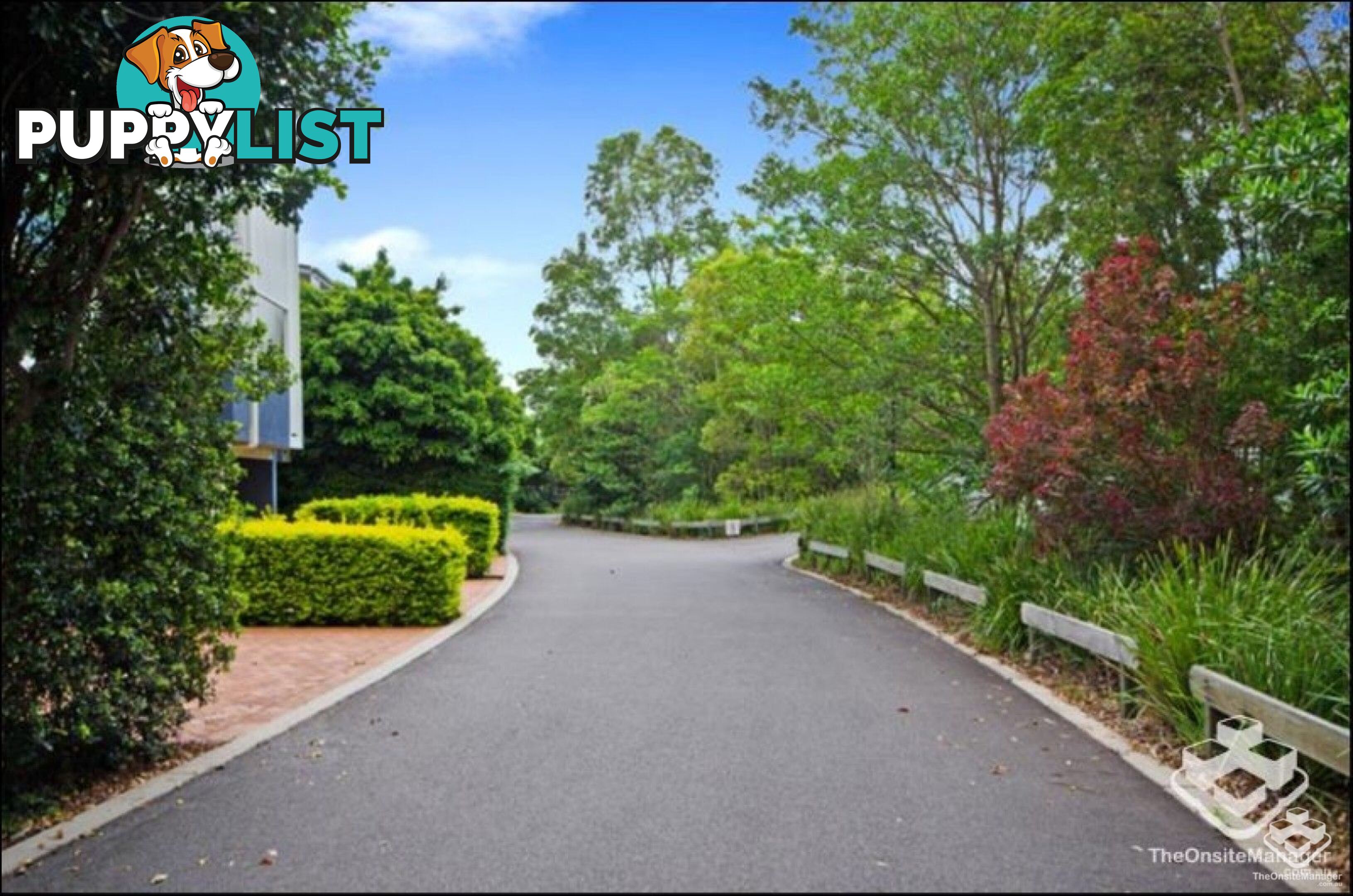 ID:21156202 35 Miawela Street Seven Hills QLD 4170