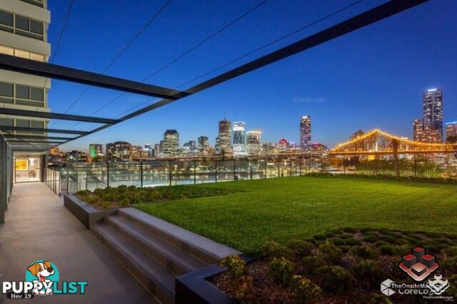 ID:21156184 79 Moray Street New Farm QLD 4005