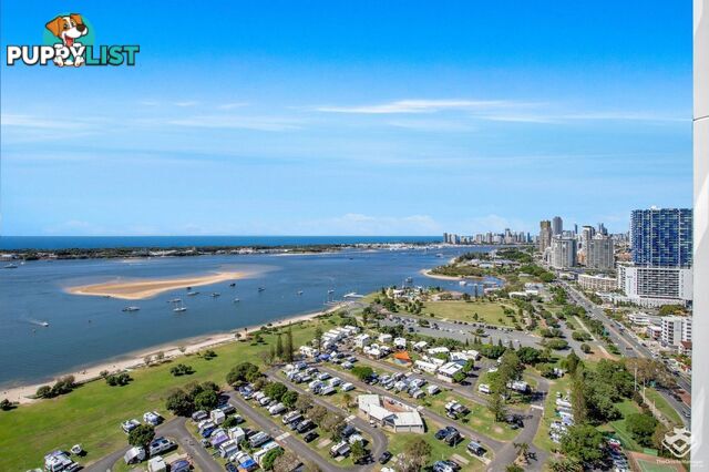 Southport QLD 4215