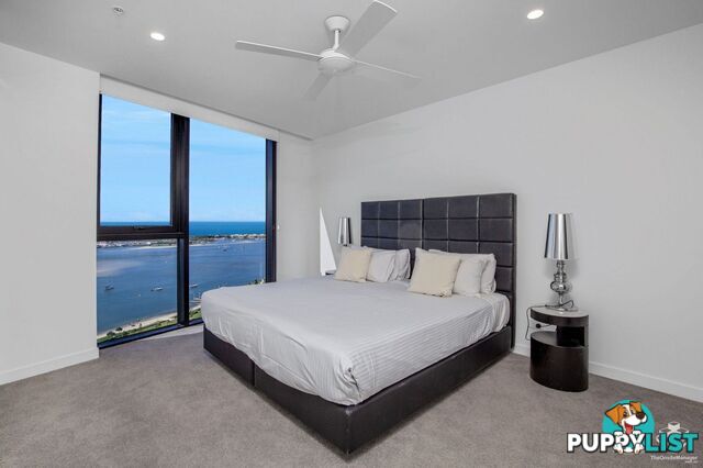 Southport QLD 4215