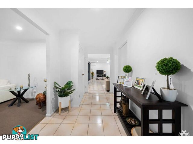 64 Malbon Street Eight Mile Plains QLD 4113
