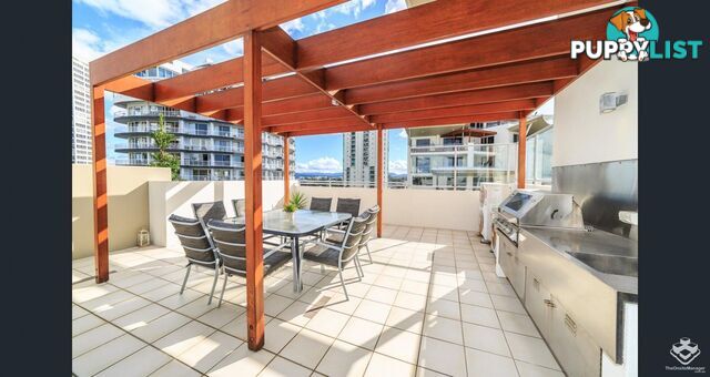173 / 21-31 Cypress Avenue Surfers Paradise QLD 4217