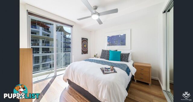 173 / 21-31 Cypress Avenue Surfers Paradise QLD 4217
