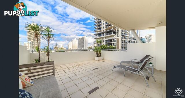 173 / 21-31 Cypress Avenue Surfers Paradise QLD 4217