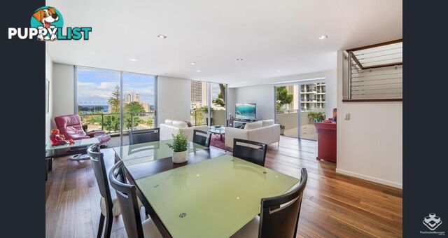 173 / 21-31 Cypress Avenue Surfers Paradise QLD 4217