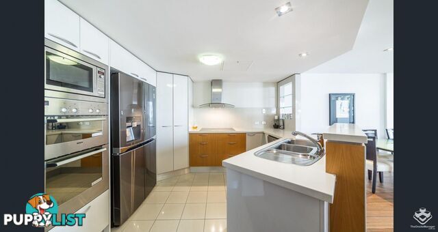 173 / 21-31 Cypress Avenue Surfers Paradise QLD 4217