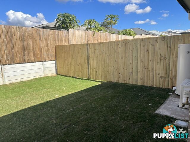 2/17 Eileen Ct Logan Reserve QLD 4133