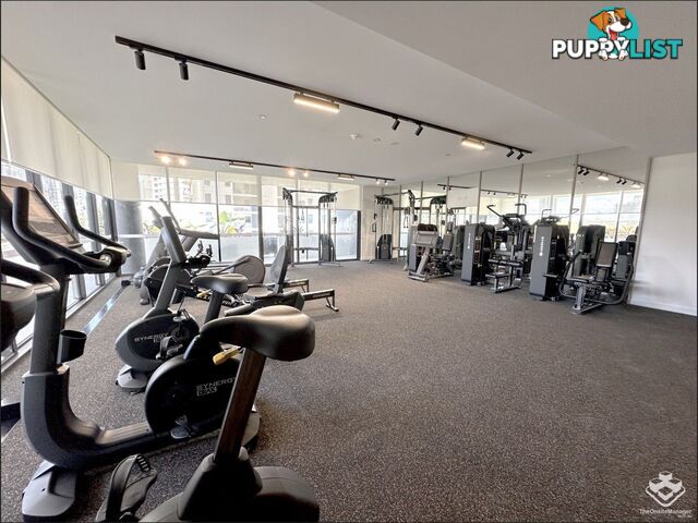 ID:21154880 25 Woodroffe Avenue Main Beach QLD 4217