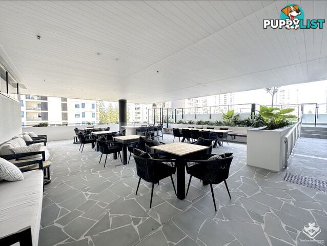 ID:21154880 25 Woodroffe Avenue Main Beach QLD 4217