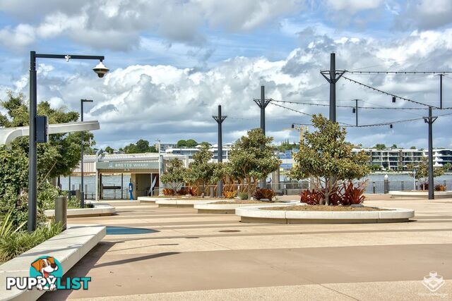 ID:21152791 2 Harbour Road Hamilton QLD 4007