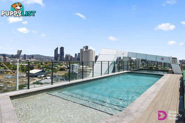 ID:21157496 14 Trafalgar Street Woolloongabba QLD 4102
