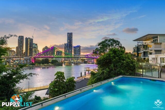 ID:21150068 79 Moray Street New Farm QLD 4005
