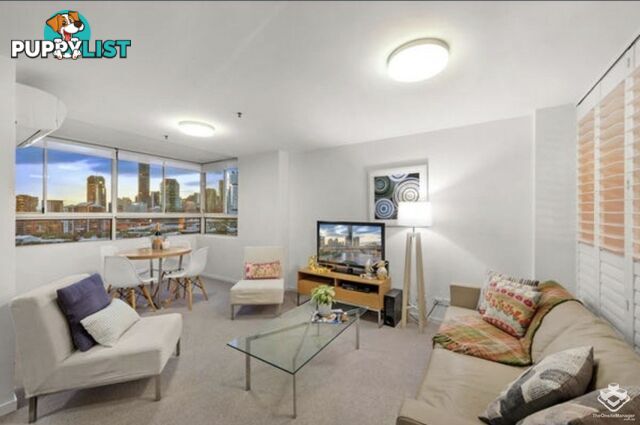 ID:21150068 79 Moray Street New Farm QLD 4005