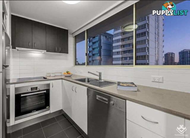 ID:21150068 79 Moray Street New Farm QLD 4005