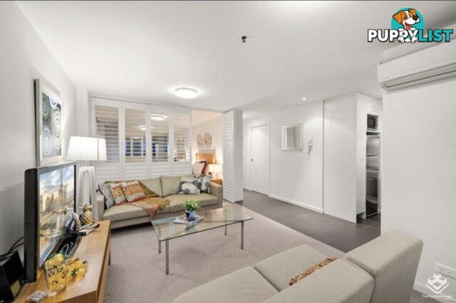 ID:21150068 79 Moray Street New Farm QLD 4005