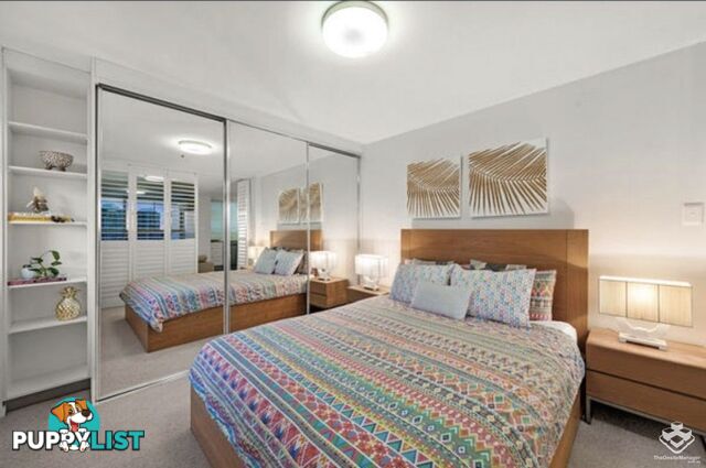 ID:21150068 79 Moray Street New Farm QLD 4005