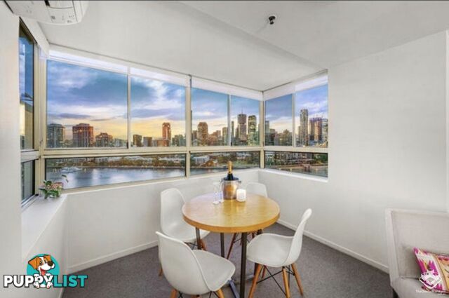 ID:21150068 79 Moray Street New Farm QLD 4005