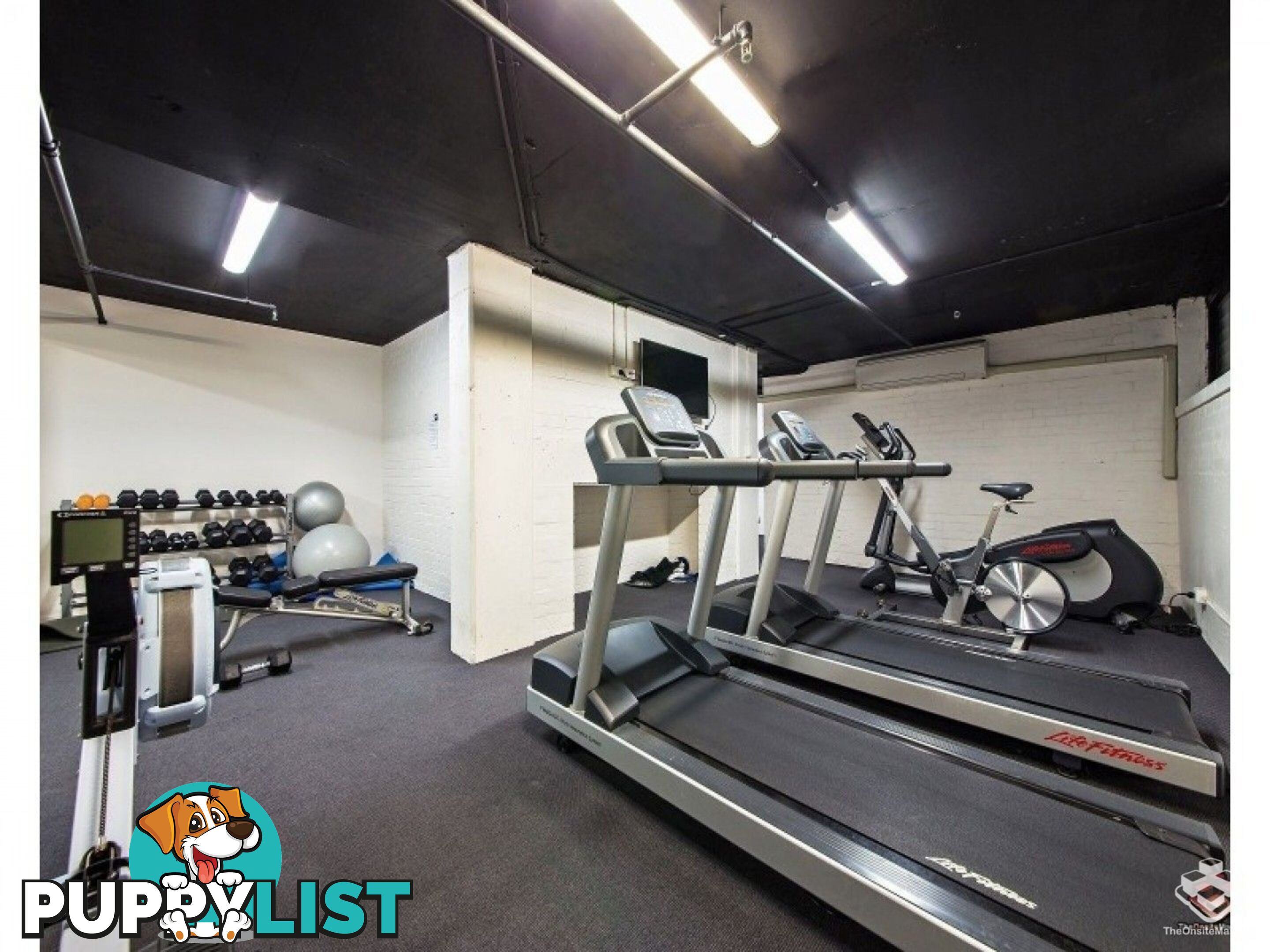 ID:21150068 79 Moray Street New Farm QLD 4005