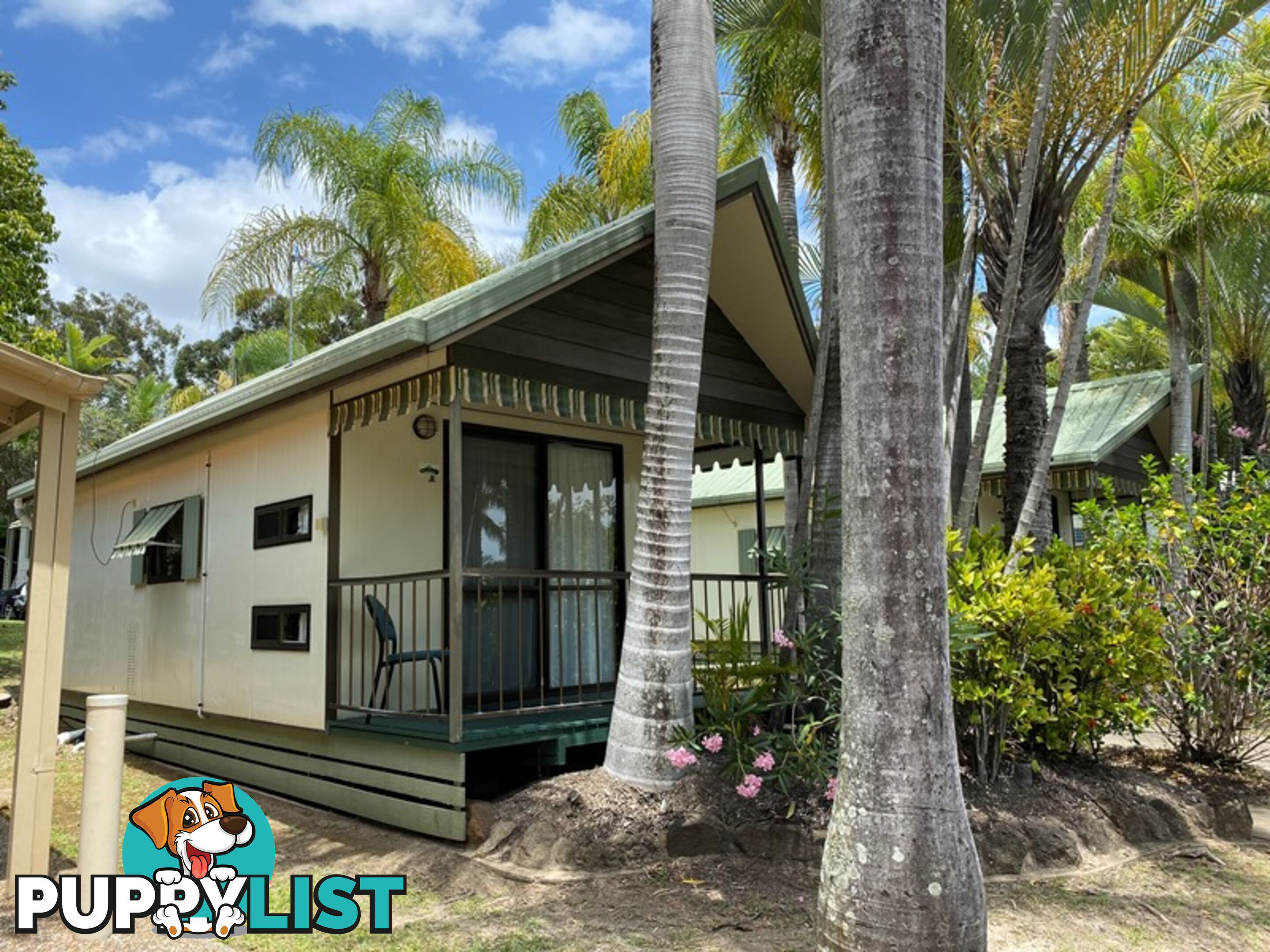 ID:3915309 71 Hinde Street Ashmore QLD 4214