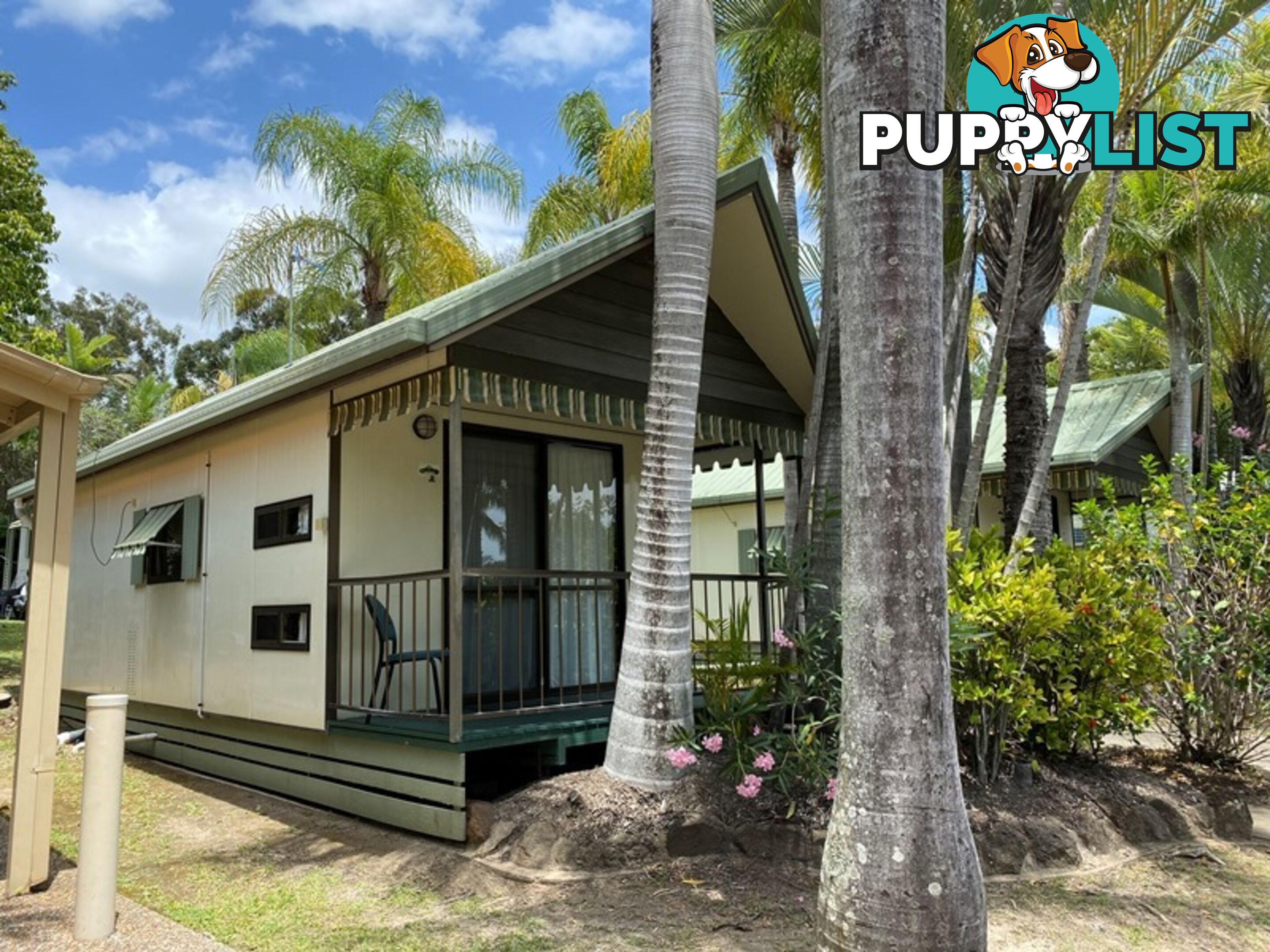 ID:3915309 71 Hinde Street Ashmore QLD 4214