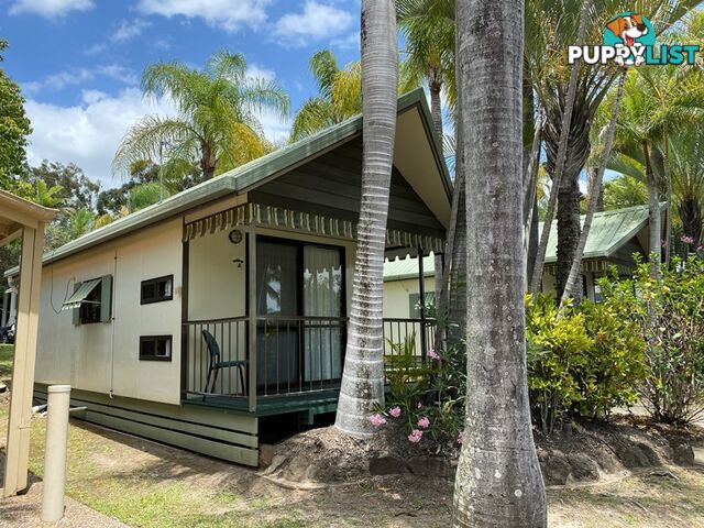 ID:3915309 71 Hinde Street Ashmore QLD 4214
