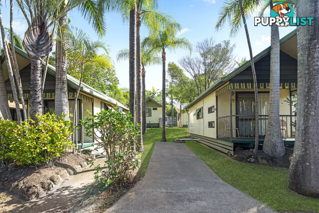 ID:3915309 71 Hinde Street Ashmore QLD 4214