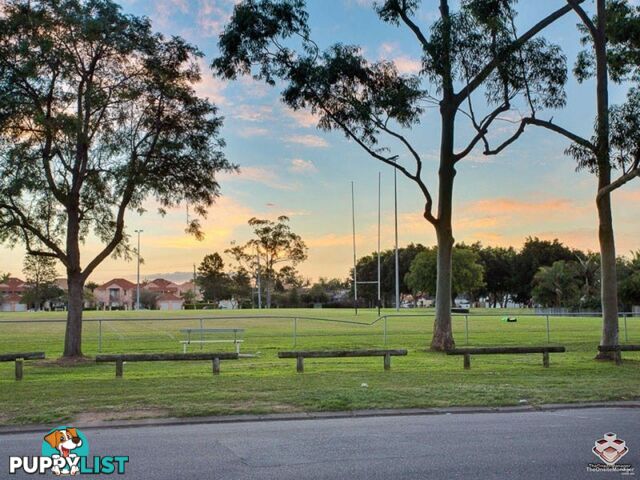 ID:21149676 125 Bulimba Bulimba QLD 4171