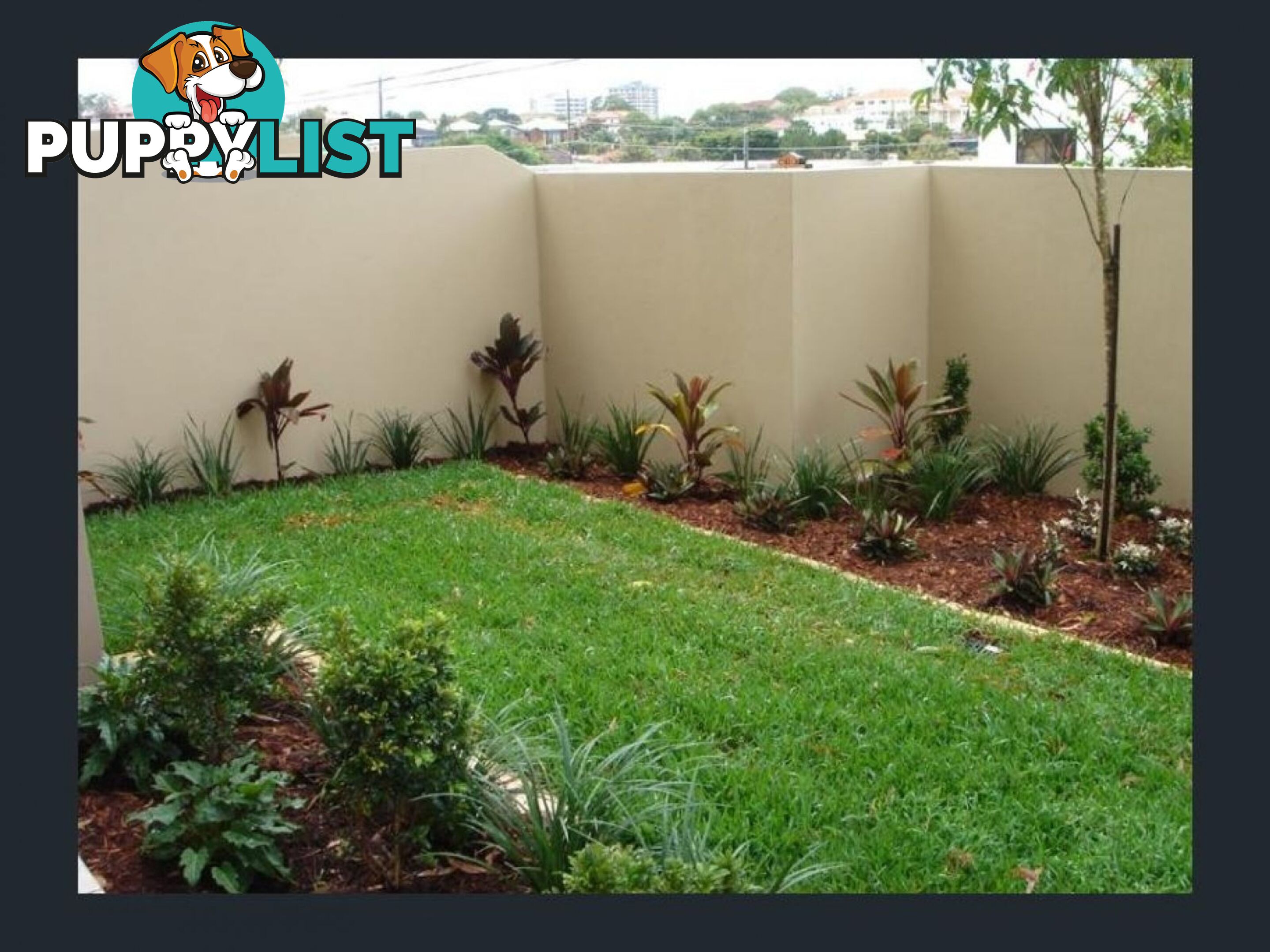 ID:3897692/14 Minnie Street Southport qld 4215