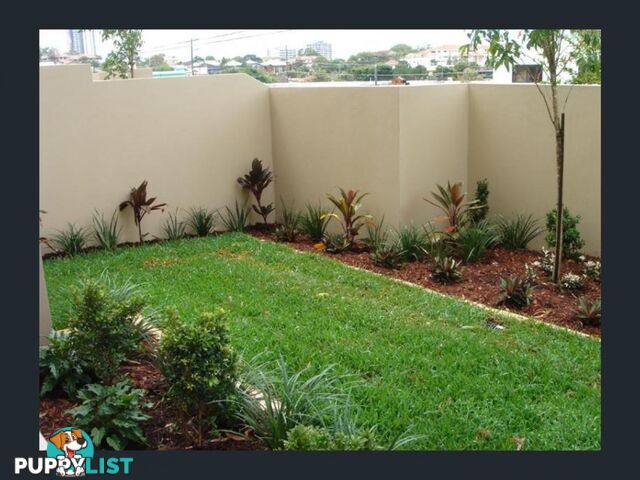 ID:3897692/14 Minnie Street Southport qld 4215