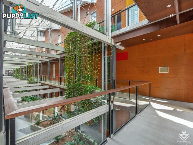 ID:21156611 36 Vernon Terrace Teneriffe QLD 4005