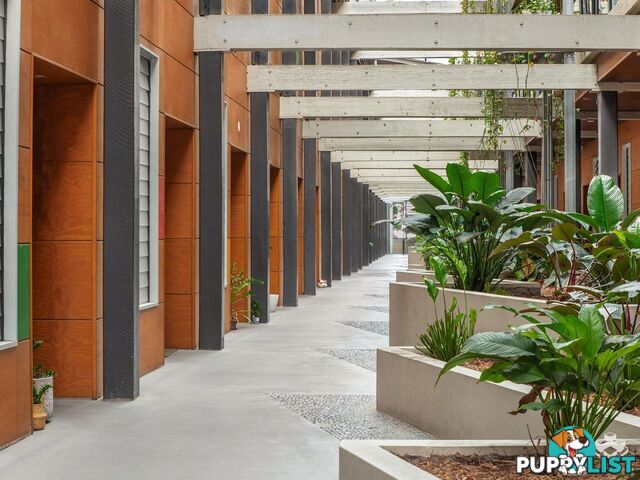 ID:21156611 36 Vernon Terrace Teneriffe QLD 4005