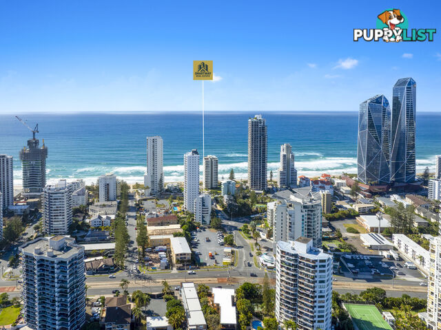 ID:21159096 19 Fern Street Surfers Paradise QLD 4217
