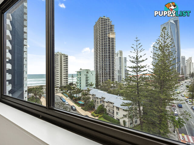 13/19 Fern Street Surfers Paradise QLD 4217