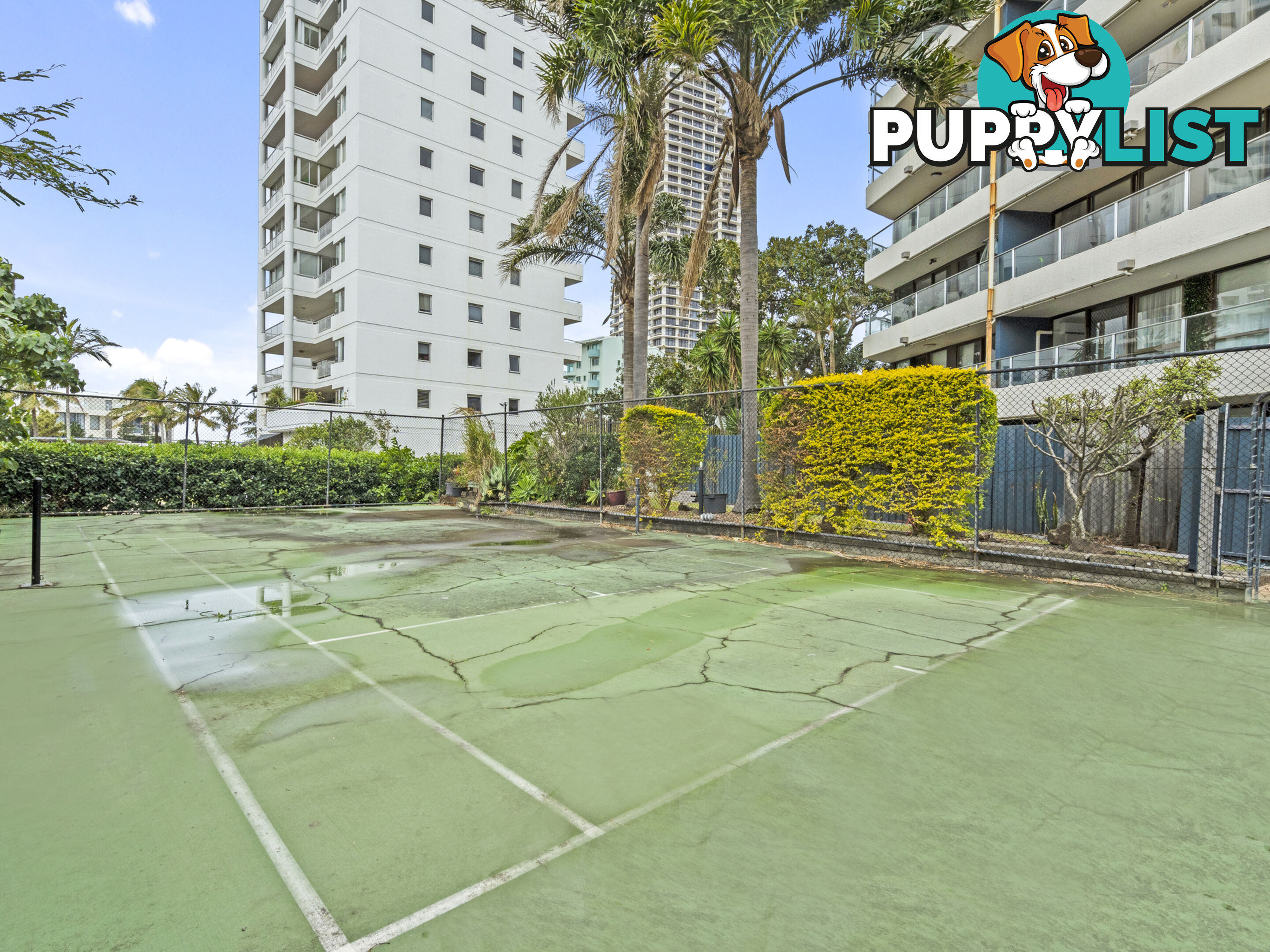 13/19 Fern Street Surfers Paradise QLD 4217