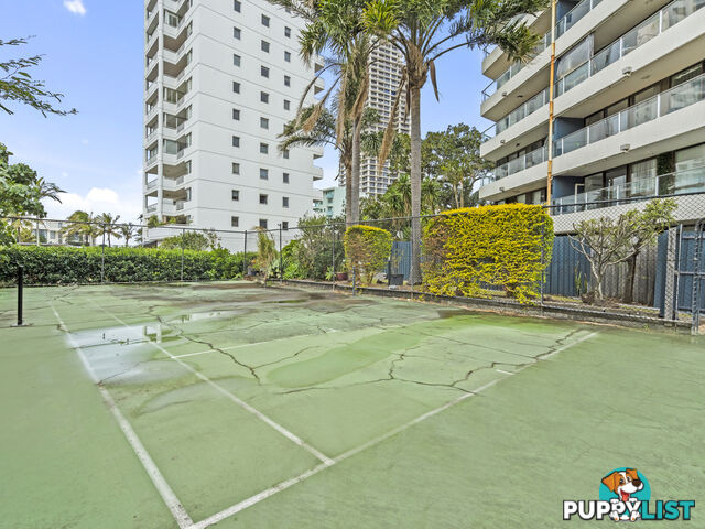 13/19 Fern Street Surfers Paradise QLD 4217