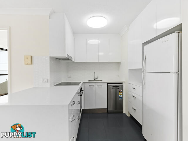 13/19 Fern Street Surfers Paradise QLD 4217