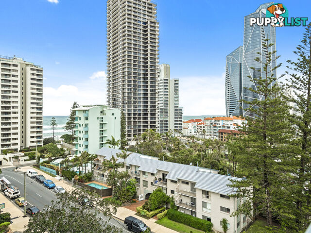 13/19 Fern Street Surfers Paradise QLD 4217