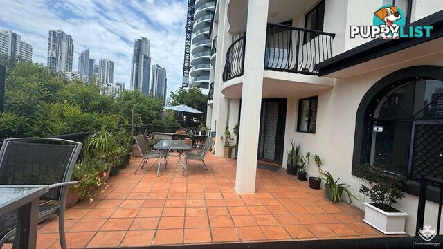 Surfers Paradise QLD 4217