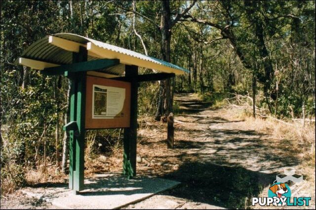 ID:21154492 206 Darcy Road D'Arcy Road Seven Hills QLD 4170