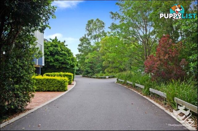 ID:21154492 206 Darcy Road D'Arcy Road Seven Hills QLD 4170