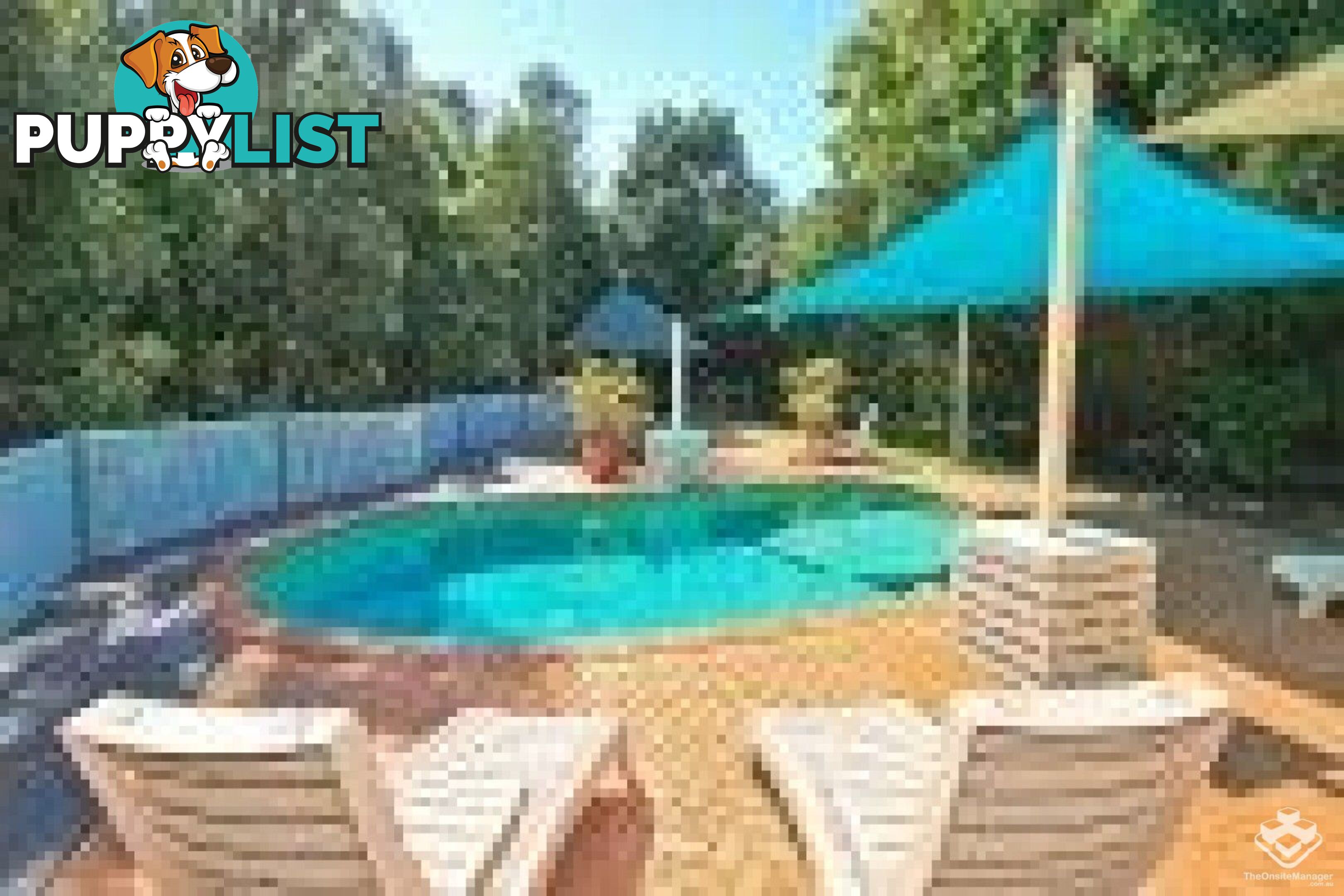 ID:21154492 206 Darcy Road D'Arcy Road Seven Hills QLD 4170