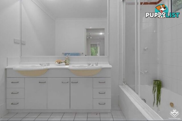 ID:21154492 206 Darcy Road D'Arcy Road Seven Hills QLD 4170