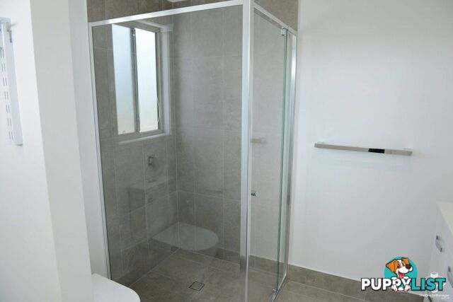ID:21153466 43 Amy street,Morayfield Amy Street Morayfield QLD 4506