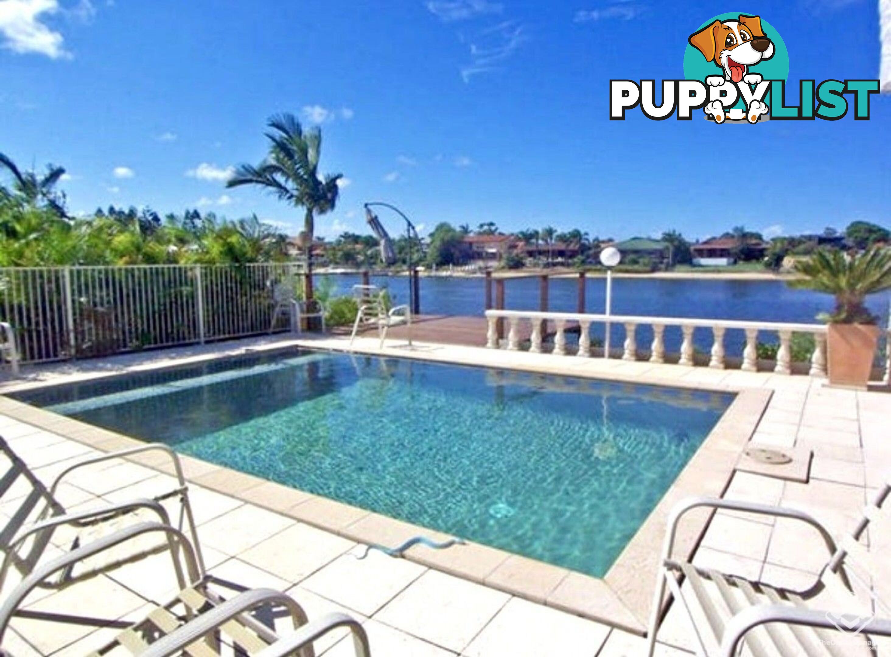 56 Waitomo Street Broadbeach Waters QLD 4218