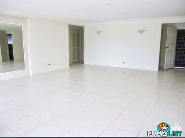 56 Waitomo Street Broadbeach Waters QLD 4218