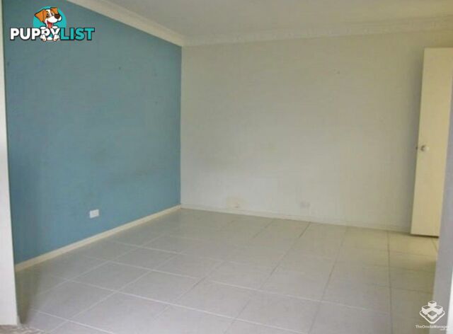 56 Waitomo Street Broadbeach Waters QLD 4218